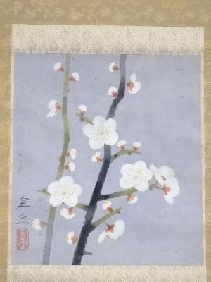 道具 ] - 道具 山本倉丘筆 白梅図 肉筆紙本掛軸（共箱・二重箱）□z